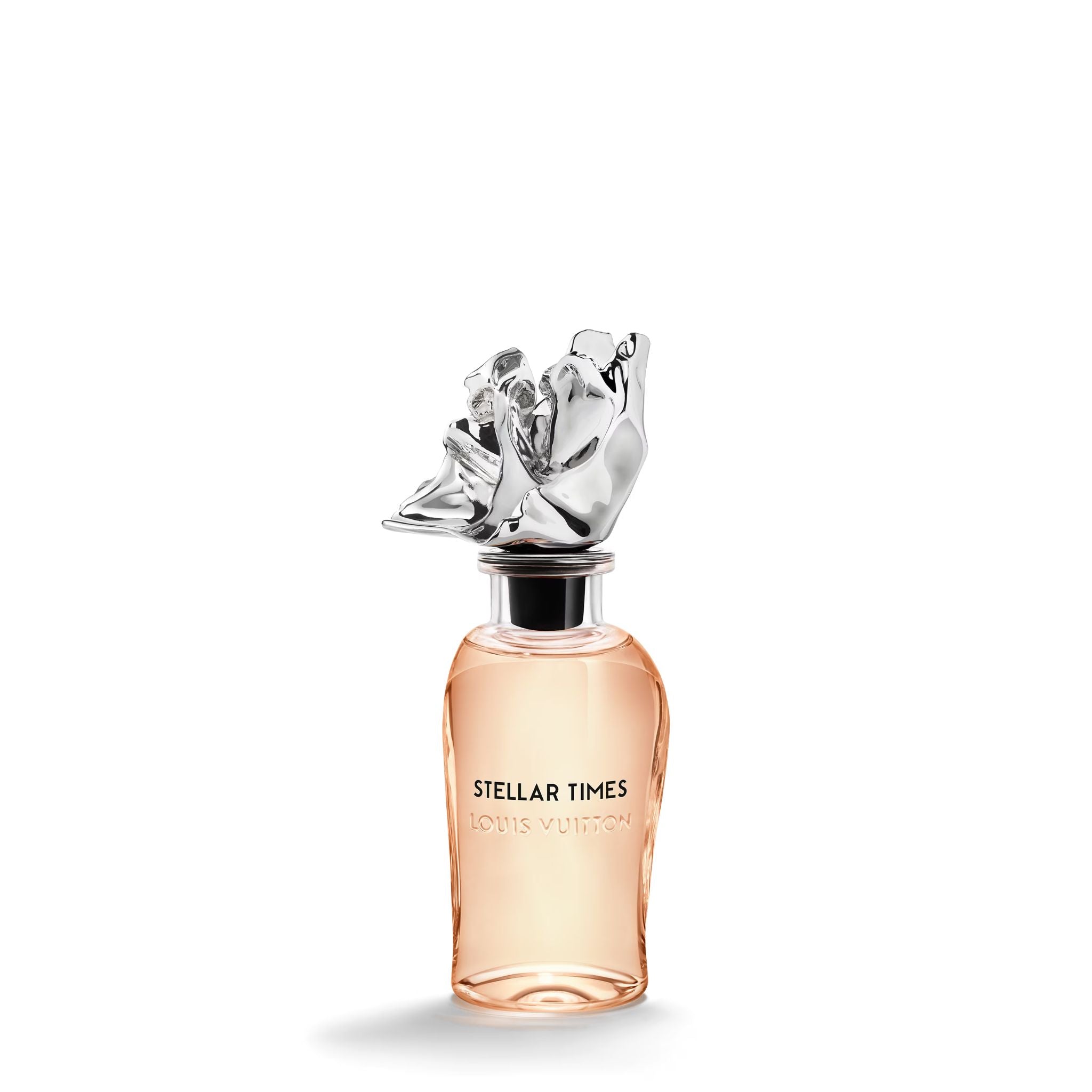 Louis Vuitton Steller Times דוגמית